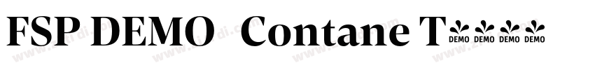 FSP DEMO   Contane T字体转换